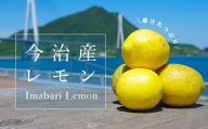 【先行予約】今治産　レモン　10ｋｇ [KC00790]