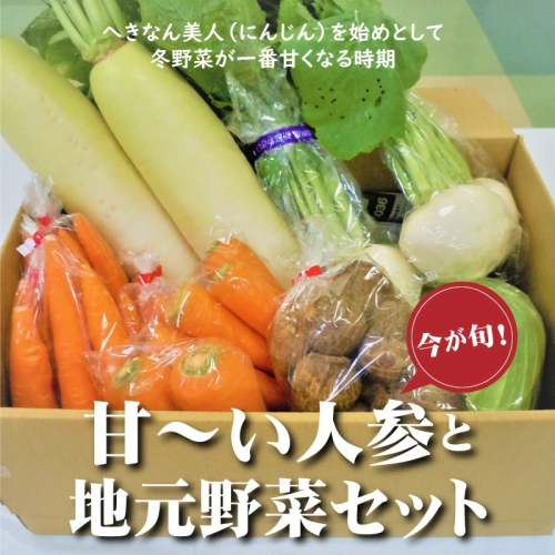 旬の野菜をお届け！甘～い人参と地元野菜セット へきなん美人 にんじん　H025-010 55222 - 愛知県碧南市