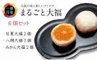 一福百果柑橘大福食べ比べ6個入 [VB01020]