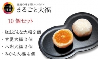 一福百果柑橘大福食べ比べ10個入 [VB02280]