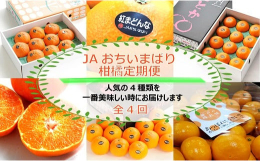 ＪＡおちいまばり管内の人気柑橘４種類をそれぞれ一番おいしい時期に発送します。【11月下旬〜12月 紅まどんな・12月 瀬戸の晴れ姫・1月 甘平・2月〜3月 せとか】（※越智今治農協で選果した品です。）