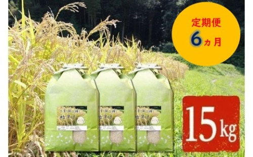 【令和6年産】【定期便・6ヶ月】【新品種】千葉・粒すけ（精米）15kg | 米 こめ お米 おこめ 白米 精米 大つぶ 千葉県のブランド米 千葉県 君津市