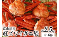 富山湾産 紅 ズワイガニ 姿 ボイル 約2.5kg（4～6杯） [寺田鮮魚店 富山県 朝日町 34310445] かに カニ 蟹 かにみそ カニ味噌 蟹味噌 新鮮 冷蔵 朝捕れ