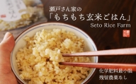 【12-318】瀬戸さん家の「もちもち玄米ごはん」 美味しいごはんパック