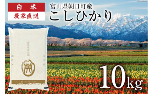 期間限定発送 米 令和6年 こしひかり 精米 10㎏ [クリーンみず穂 富山県 朝日町 34310436] お米 コシヒカリ コメ 10キロ ご飯 ごはん 白米 産地直送 一等米  おこめ こめ