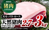 江の川shishi ブロックセット 2.7kg～3kg AI-3 猪肉 いのしし肉 イノシシ肉 ジビエ ロース モモ バラ 煮込み用 角煮 焼肉用
