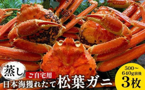 114.【蒸し】訳あり ご自宅用 日本海獲れたて松葉ガニ 500～640g前後 ３枚 ※2025年11月上旬～2026年3月上旬頃に順次発送予定【家庭用 松葉ガニ 松葉蟹 蟹 かに 甲殻類 ズワイガニ 鳥取県 北栄町 おすすめ 人気 送料無料】 553864 - 鳥取県北栄町