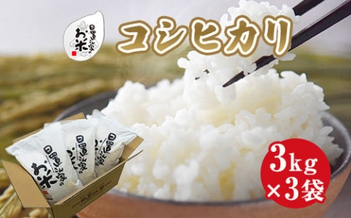 １５１．日置さん家のお米「コシヒカリ」玄米　３kg×３袋