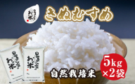１６７．日置さん家の自然栽培米「きぬむすめ」無洗米　5kg×2袋 2024年産
