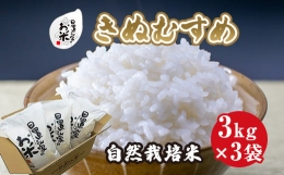【ふるさと納税】１７０．日置さん家の自然栽培米「きぬむすめ」無洗米 3kg×3袋 2024年産