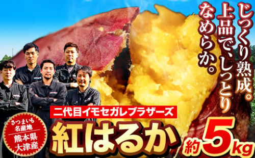 熊本県大津町産 紅はるか 約5kg(大中小不揃い)《3-7営業日以内に順次出荷(土日祝除く)》二代目イモセガレブラザーズ さつまいも 芋 紅はるか スイートポテト 干し芋にも 特産品 熟いも 野菜 薩摩芋 さつま芋 555032 - 熊本県大津町