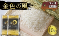 米 定期便 10kg 9ヶ月 精米 一等米 金色の風 岩手県産 ご飯 白米