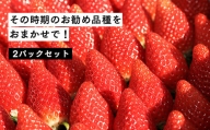 【２月発送開始・数量限定】伊賀いちご園のおまかせ2P（280g/パック×2パック） - イチゴ ストロベリー strawberry【18010】