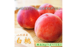 山形県中山町産白桃自家培養の光合成細菌（土の善玉菌）、酵母エキスカルシウム、ミネラル、苦土、アミノ酸等を土に散布したこだわりの土壌つくり。より多くの葉っぱを使い栄養分を作らせて、旨味成分を作り上げます