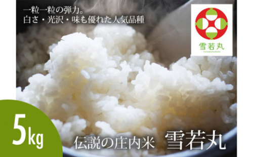 令和4年産　伝説の庄内米　雪若丸　5㎏　清川屋 556377 - 山形県鶴岡市