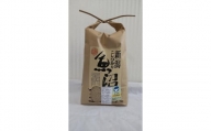 新潟県認証特別栽培米魚沼産しおざわコシヒカリ玄米5kg