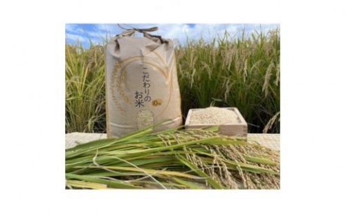 栽培期間中農薬・化学肥料不使用　循環農法で育てたヒノヒカリ　玄米10キロ【1351736】