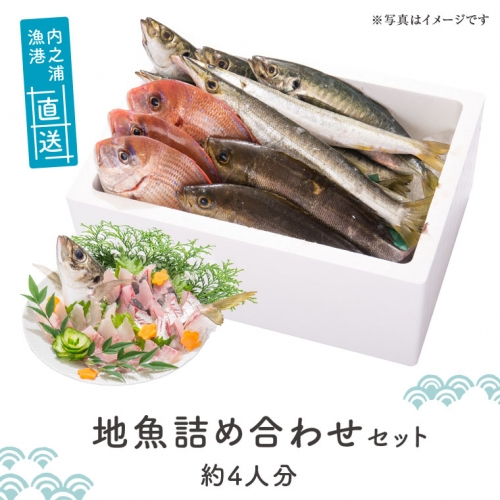 魚屋さんの選んだ新鮮お魚詰め合わせ（約4人分） 55711 - 鹿児島県肝付町