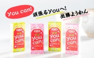 A5-050 you can! ようかん10本入