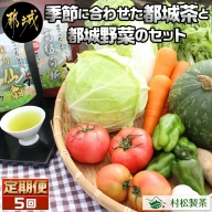 季節に合わせた都城茶と都城野菜のセット定期便(5回)_T40（5）-3701