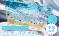 【限定10品】インテリアパネル ブルームーンビーチ＜Studio KAI by濵村裕二/  Yuji hamamura＞ [CDH017]