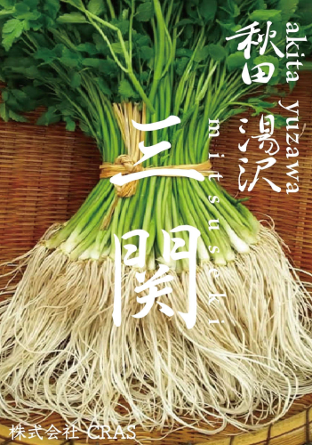 ＼TV青空レストランに登場／ 贅沢 三関産 せり鍋セット 3～4人前 (せり1kg 比内地鶏鍋つゆ 稲庭うどん 生麺 ) 生産者直送 ご自宅で絶品の せりしゃぶ が楽しめる せり鍋 ふるさと納税 せり 鍋 鶏 ふるさと 人気 ランキング [B7-10901] 558150 - 秋田県湯沢市