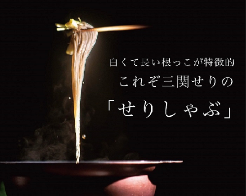 ＼TV青空レストランに登場／ 三関産 せり鍋 セット 3～4人前 (せり1kg 比内地鶏鍋つゆ) 生産者直送 セット ご自宅で絶品の せりしゃぶ が楽しめる せり鍋 ふるさと納税 せり 鍋 鶏 ふるさと 人気 ランキング [B46-10901] 558152 - 秋田県湯沢市