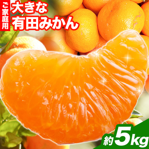 ＜先行予約＞家庭用　大きな有田みかん5kg+150g（傷み補償分）【わけあり・訳あり】【光センサー選果】池田鹿蔵農園@日高町（池田農園株式会社）《11月中旬-2月中旬頃出荷》和歌山県 日高町 558319 - 和歌山県日高町