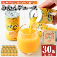 温州みかんの果汁100％ジュース!「ジューシーみかん100」(190ml×30缶) keizai-1256