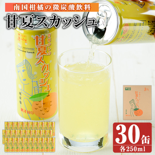 南国柑橘の微炭酸ジュース!「ジューシー甘夏スカッシュ」(250ml×30缶) keizai-1257 558405 - 鹿児島県長島町