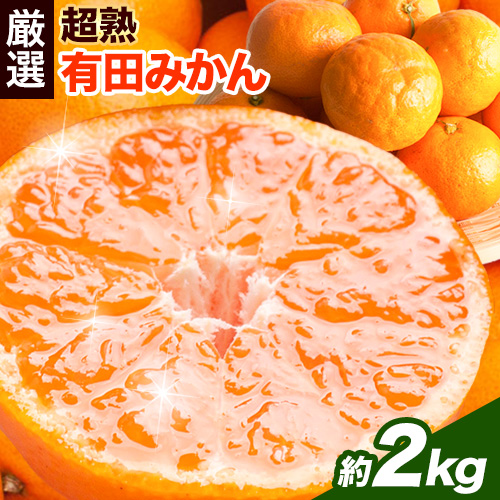 ＜先行予約＞厳選　超熟有田みかん2kg+60g（傷み補償分）【自分史上一番みかん】【光センサー選果】池田鹿蔵農園@日高町（池田農園株式会社）《11月上旬-12月末頃出荷》和歌山県 日高町【配送不可地域あり】 558442 - 和歌山県日高町