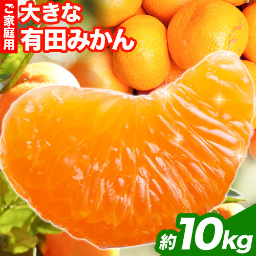 ＜先行予約＞家庭用　大きな有田みかん10kg+300g（傷み補償分）【わけあり・訳あり】【光センサー選果】
池田鹿蔵農園@日高町（池田農園株式会社）《11月中旬-2月中旬頃出荷》和歌山県 日高町 558444 - 和歌山県日高町