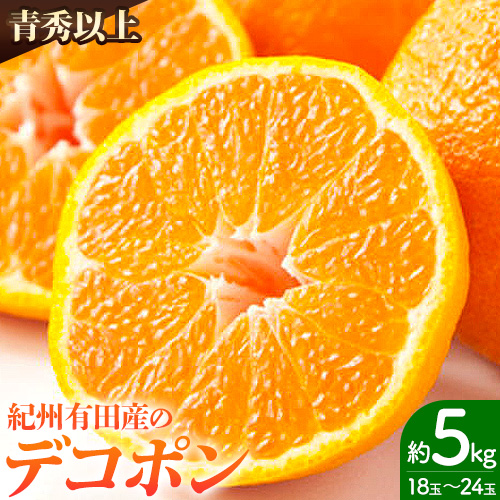 【お味濃厚】＜先行予約＞紀州有田産のデコポン約5kg(18玉～24玉入り・青秀以上) 厳選館 《2025年1月下旬-4月上旬頃出荷》和歌山県 日高町 558745 - 和歌山県日高町