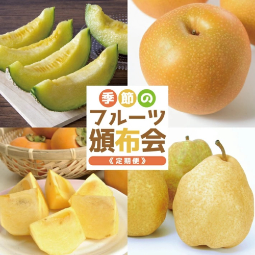 SG0056　【4回定期便】季節のフルーツ頒布会2025(アンデスメロン、和梨、庄内柿、洋梨〔シルバーベル〕) 558880 - 山形県酒田市