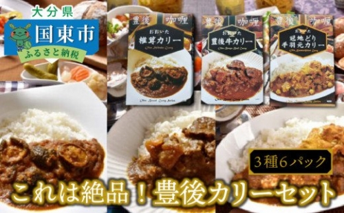 これは絶品!豊後カリーセット(3種6パック) 55913 - 大分県国東市