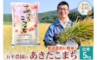 【白米】 あきたこまち 令和5年産 秋田県産 五平農園のあきたこまち 5kg