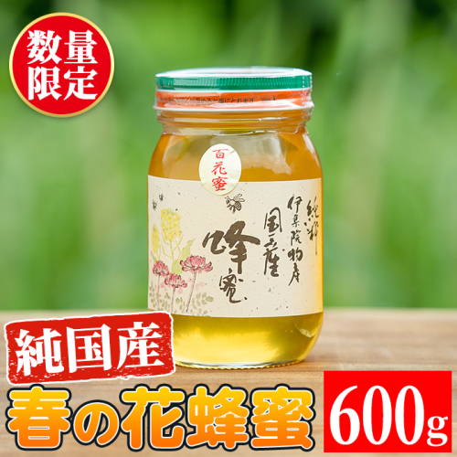 No.444 鹿児島春の花の蜂蜜 国産百花蜜(600g)【伊集院物産】 559931