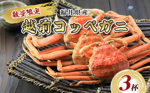 数量限定！福井県産 越前コッペガニ3杯 海鮮 海の幸 甲殻類 お祝い 正月 年末年始 ボイル 急速冷凍 セイコガニ  559943 - 福井県おおい町