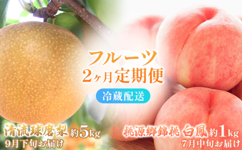 定期便 2回 先行予約 【 桃 白桃 7月頃 梨 9月頃 】白鳳 特製桃源郷錦 約1kg、清流錦梨 約5kg もも モモ なし フルーツ 果物 デザート お楽しみ 2025年発送 配送不可:離島  560665 - 熊本県錦町