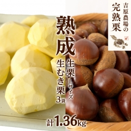 生栗とむき栗のセットです。 本日一番の生栗と皮むきいらずの生むき栗で当園の完熟栗をお楽しみください。 美味しい栗ができました。今日一番の食べごろの熟成栗をお届けします。 栗畑を毎日巡回し、落ちたその日
