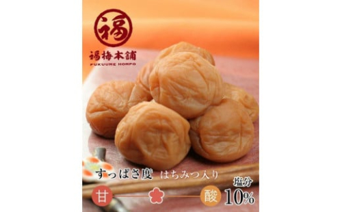 ご家庭用 はちみつ梅干し まろやか梅 大粒 250g 塩分10％ 最高級紀州南高梅 和歌山県産 福梅本舗