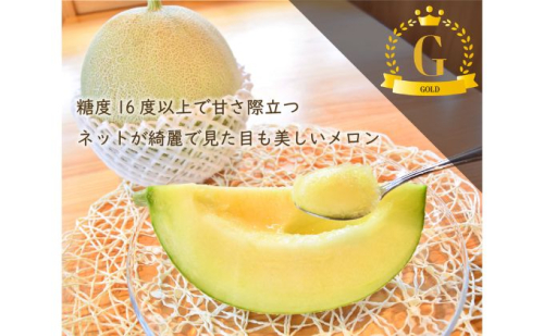 【冬作】埼玉県嵐山町産メロン ゴールド 果物類 青肉 果汁 甘い 水耕栽培方法 自慢 美しい 高品質 高糖度 贈り物 ギフト 560852 - 埼玉県嵐山町