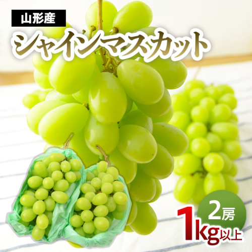 山形のぶどう シャインマスカット 1kg以上(2房)[9月中旬～10月中旬お届け]【令和8年産先行予約】FS24-575 560919 - 山形県山形市