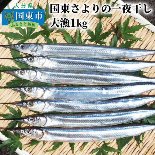 国東さよりの一夜干し/大漁1kg_1043R 56095 - 大分県国東市