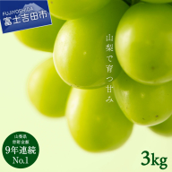 【2026年発送 先行予約】山梨県産シャインマスカット3kg