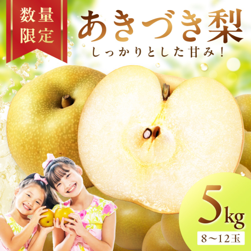 【先行予約／数量限定300】京丹後産 あきづき梨 5kg（8～12玉）（2026年9月中旬～発送）
 561016 - 京都府京丹後市