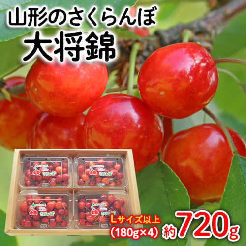 山形のさくらんぼ 大将錦 Lサイズ以上 720g(180g×4) 【令和8年産先行予約】FS25-525 561021 - 山形県山形市