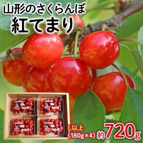 山形のさくらんぼ 紅てまり Lサイズ以上 720g(180g×4) 【令和8年産先行予約】FS25-524 561022 - 山形県山形市