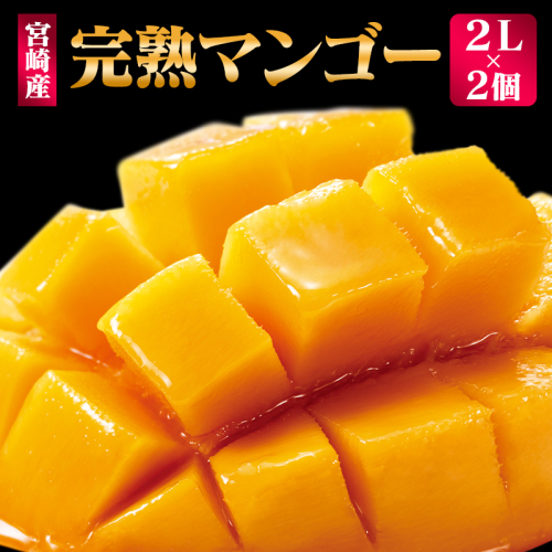 <先行予約> 完熟マンゴー 2Lサイズ 2玉 南国宮崎からお届け!! フルーツ 果物 人気 贈答品【B302-26】 561075 - 宮崎県新富町