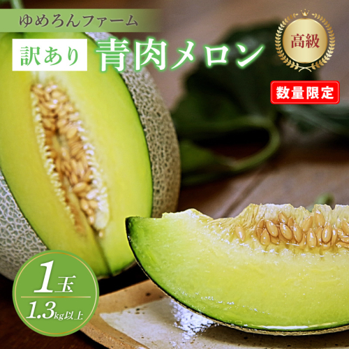 【数量限定100】ゆめろんファームの青肉メロン（訳あり品）（2026年6月上旬～発送） 国産 ふるさと 納税 メロン 青肉 1玉 ふるさと 納税 期間限定 ふるさと 納税 訳あり 規格外 ふるさと 納税 フルーツ
 561079 - 京都府京丹後市